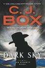 Dark Sky (Joe Pickett, Bk 21) (Large Print)