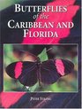 Butterflies of the Caribbean