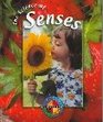 The Science of Senses