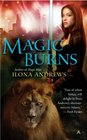 Magic Burns (Kate Daniels, Bk 2)