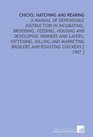 Chicks; Hatching and Rearing: A Manual of Dependable Instruction in Incubating, Brooding, Feeding, Housing and Developing Winners and Layers; Fattening, ... Broilers and Roasting Chickens [ 1907 ]