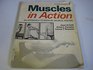 Muscles in Action An Approach to Manual Muscle Testing