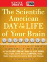 The Scientific American Day in the Life of Your Brain