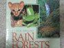 A Look Around Rain Forests