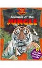 Animals of the Jungle