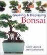 Growing  Displaying Bonsai