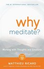 Why Meditate Working with Thoughts and Emotions