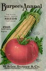 Burpee's Annual 1918 Seed Catalog Reprint