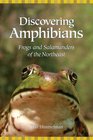 Discovering Amphibians Frogs And Salamanders of the Northeast