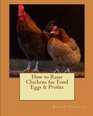 How to Raise Chickens for Food Eggs  Profits