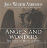 Angels and Wonders True Stories of Heaven on Earth