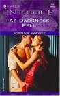 As Darkness Fell  (Hidden Passions, Bk 4) (Harlequin Intrigue, No 753)