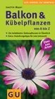 Balkon  Kbelpflanzen von A  Z