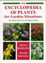 The Encyclopaedia of Plants for Garden Situations