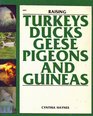 Raising Turkeys Ducks Geese Pigeons and Guineas