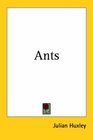 Ants