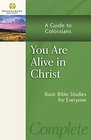 You Are Alive in Christ A Guide to Colossians