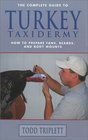 The Complete Guide to Turkey Taxidermy How to Prepare Fans Beards and Body Mounts