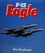 Combat Aces F15 Eagle
