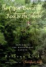 The Most Beautiful Roof in the World Exploring the Rainforest Canopy