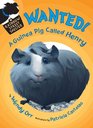 Wanted A Guinea Pig Named Henry