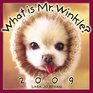 What is Mr Winkle 2009