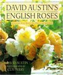 David Austin's English Roses : Glorious New Roses for American Gardens