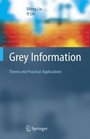 Grey Information Theory and Practical Applications
