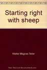 Starting right with sheep