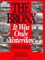 The Bronx It Was Only Yesterday