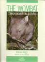The Wombat Common Wombats in Australia