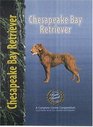 Chesapeake Bay Retriever