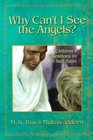 Why Can't I See the Angels Children's Questions to a Sufi Saint