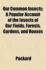 Our Common Insects A Popular Account of the Insects of Our Fields Forests Gardens and Houses