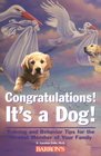 Congratulations It's a Dog Training and Behavior Tips for the Newest Member of Your Family