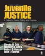 Juvenile Justice A Guide to Theory Policy and Practice