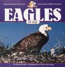 Eagles for Kids (Cocoa Table, No 6)