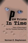 Paw Prints In Time Tales of Beauregard The FarTraveled Siamese Cat