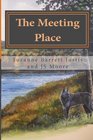 The Meeting Place A Brief Early History of Kingsport Tennessee
