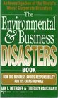 The Environmental  Business Disaster Book How Big Business Avoids Responsibility for Its Catastrophes