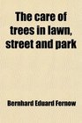 The care of trees in lawn street and park