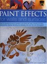 Paint Effects for Walls and Surfaces Over 25 inspirational ways to transform your home with paint including sponging colourwashing stippling stencilling  stamping with over 300 colour photographs