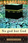 No god but God : The Origins, Evolution, and Future of Islam