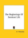 The Beginnings Of Sentient Life