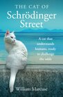 The Cat of Schrdinger Street: A cat that understands humans, ready to challenge the odds.
