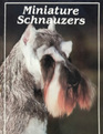 Miniature Schnauzers Poster Book