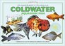An Essential Guide to Choosing Your Cold Water Aquarium Fish