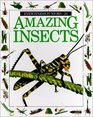 Eyewitness Jr Amazing Insects
