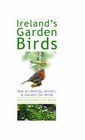 Ireland's Garden Birds How to Identify Attract  Garden for Birds