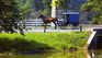 Amish Country Address Book